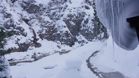 Jigokudani-Tal,-Yamanouchi,-Japan