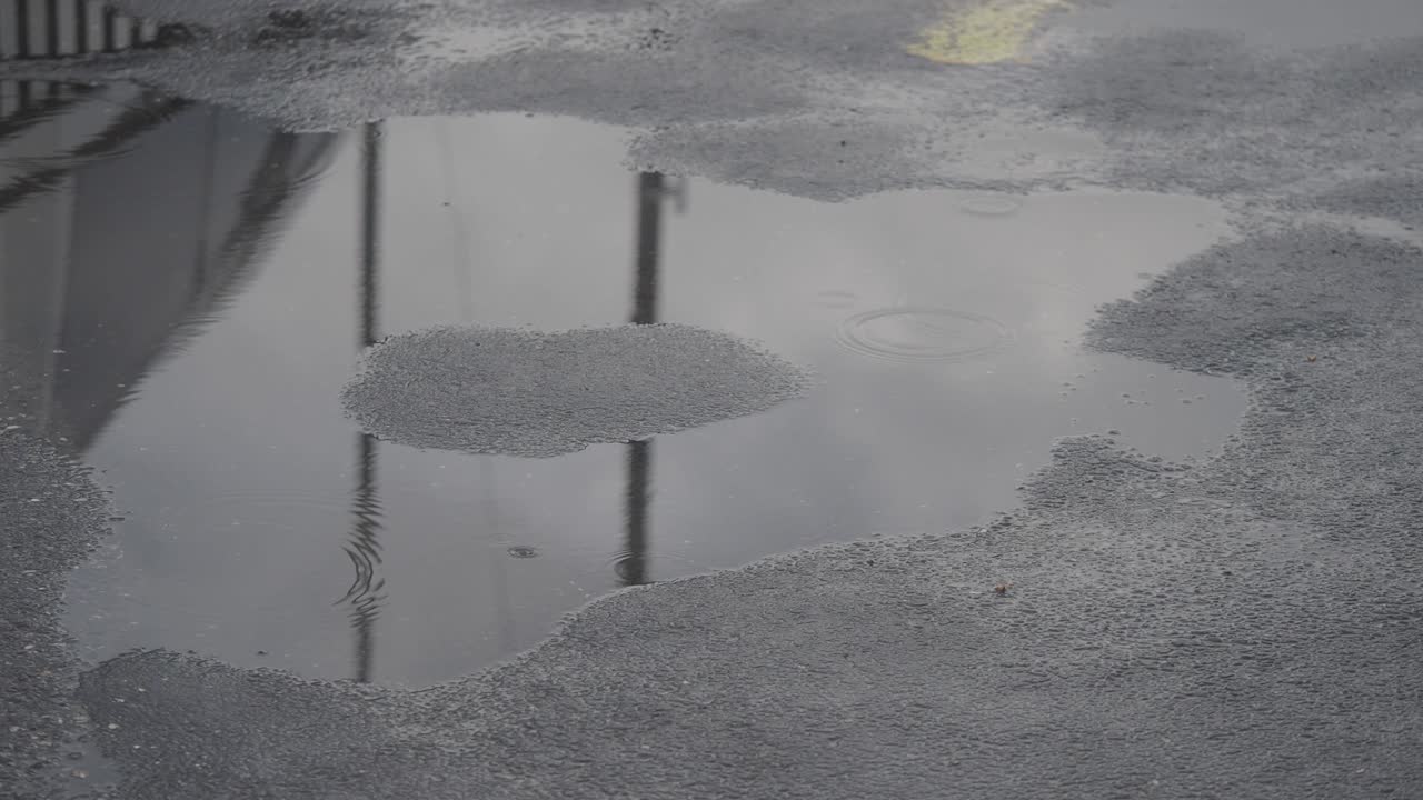 池の反射