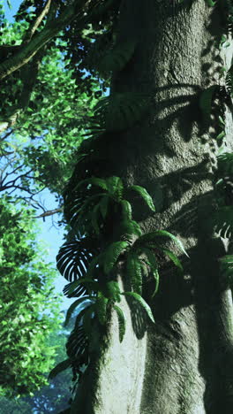 jungle tree with plants