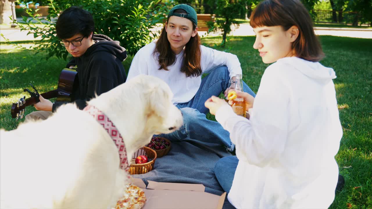친구 들 이 개 와 음악 과 함께 공원 에서 피크닉 을 즐기고 있다