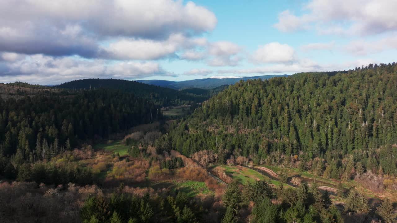 tomada de drone de gran ángulo del bosque de redwood del norte de california en un buen día