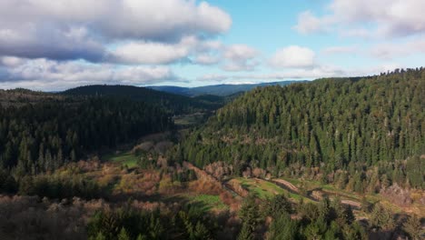 Toma-De-Drones-De-Gran-Angular-Del-Bosque-De-Secuoyas-Del-Norte-De-California-En-Un-Buen-Día