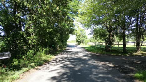 camino rural con árboles que rodean los lados, pedestal de cámara lenta de 4k