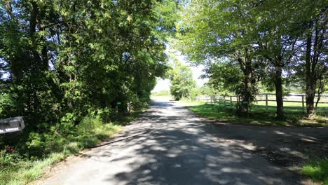 rural country road with trees surrounding sides, 4k slow motion pedestal