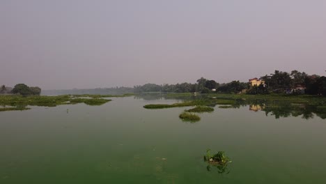 aerial shot over small pond or lake in indian village, swan flying by