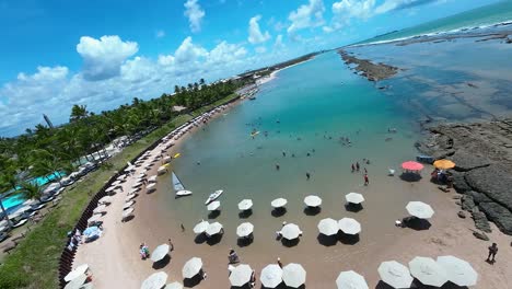 spiaggia di alto muro al porto dei polli a pernambuco in brasile