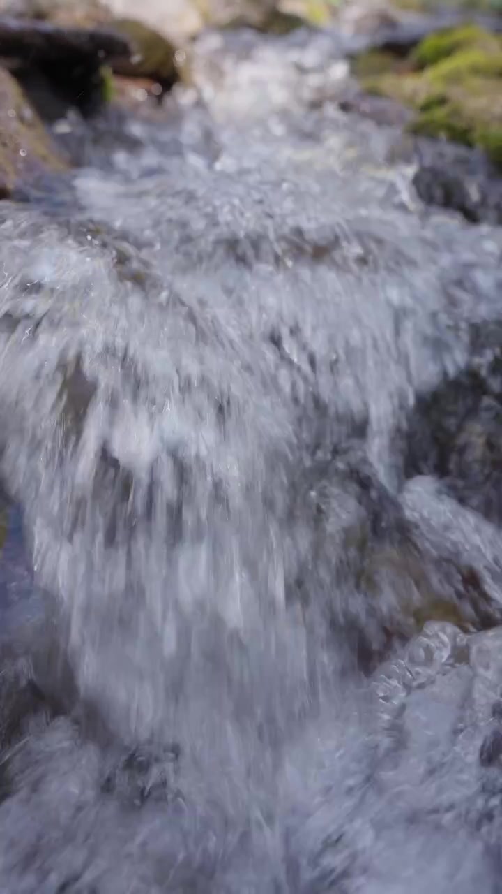 Acqua limpida scorre sulle rocce in una dolce cascata. Acqua bianca spumeggiante si infrange contro le pietre sottostanti. La sfocatura di movimento trasmette energia fluida e movimento naturale.