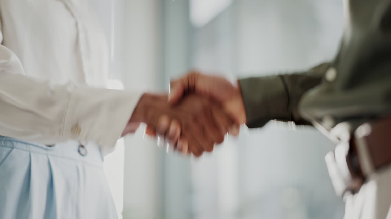 Handshake, business people and agreement