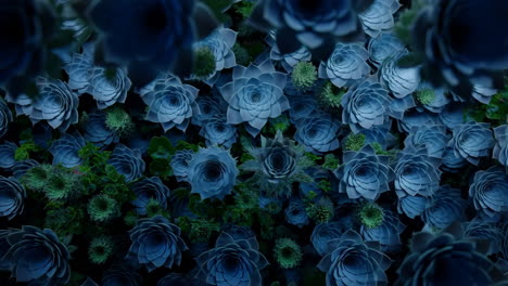 blue-green succulent garden