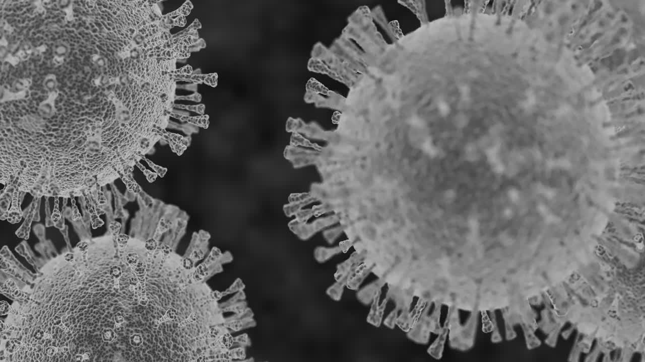 Black and white 3d simulation of corona virus. Artistic rendering of electron microscope visualization