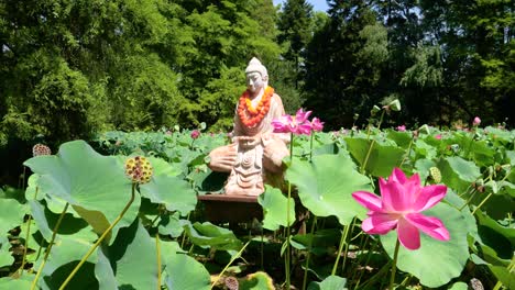 buddhist statue in the middle of a pond full of pink blooming lotus flowers