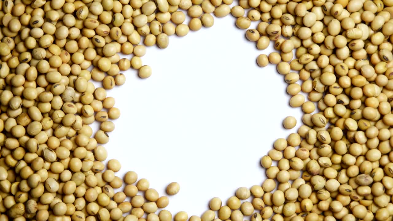 alimentos crudos de semillas de soja orgánicos vista de arriba rotación en fondo blanco en el centro