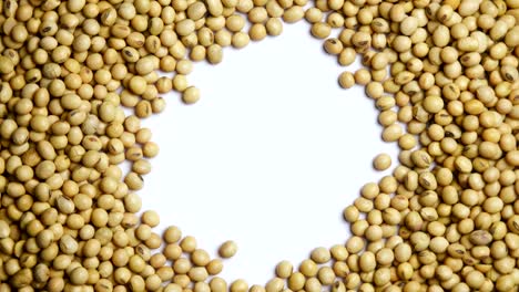 raw soy bean seed food organic top view rotation on white background in center