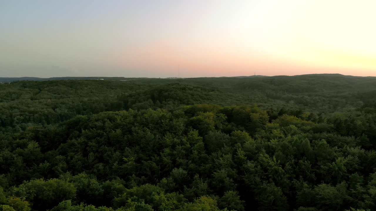 imágenes aéreas sobre el bosque durante la puesta de sol, hermoso cielo en el horizonte y copas de árboles verdes debajo, paisaje natural en la ciudad, gdynia polonia