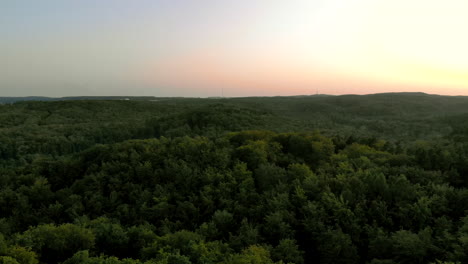 aerial footage over forest during sunset, beautiful sky on the horizon and green tree crowns below, natural landscape in the city, gdynia poland