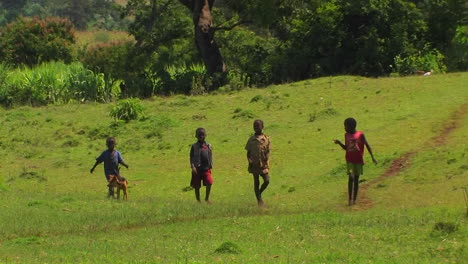 cuatro niños caminan por un campo verde con un perro