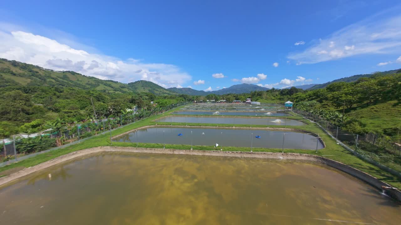 Aerial flyover AQUACULTURE HATCHERY between tropical palm trees in summer. FPV speed shot. Beautiful sunny day in Dominican Republic.