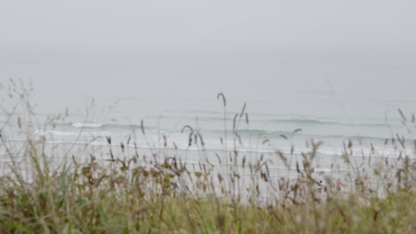 foggy beach scene