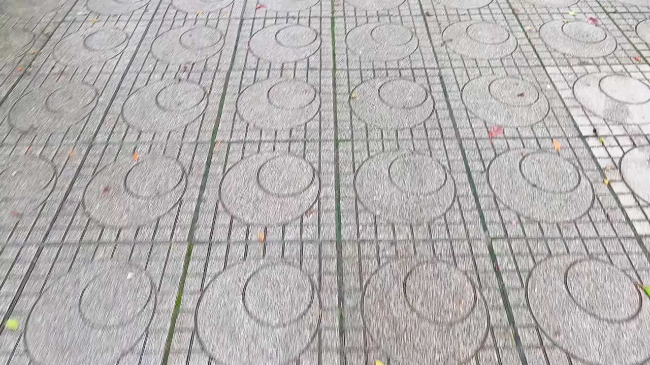 hojas esparcidas en una acera de piedra estampada