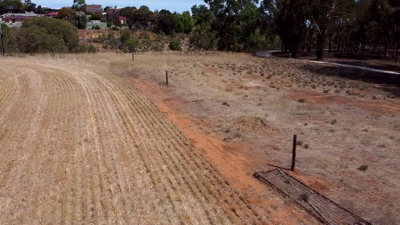 Arid Landscape In Clonlea Park, Gawler On A Sunny Day - dolly shot