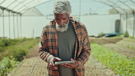 man, farming and walking with tablet in greenhouse