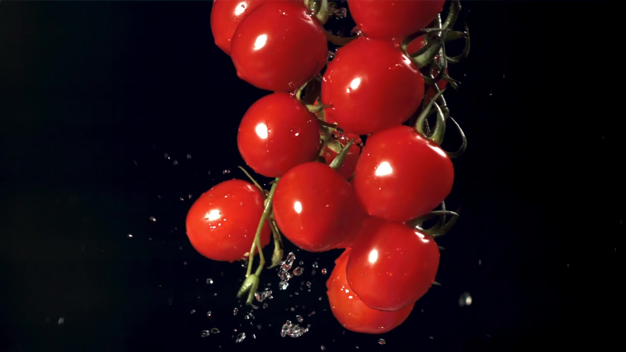 Tomates cherry rojos en rama con salpicaduras de agua