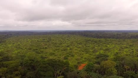 aerial drone view above endless africanl rainforest, on a cloudy day, in nanga eboko forest, haute-sanaga, southern cameroon