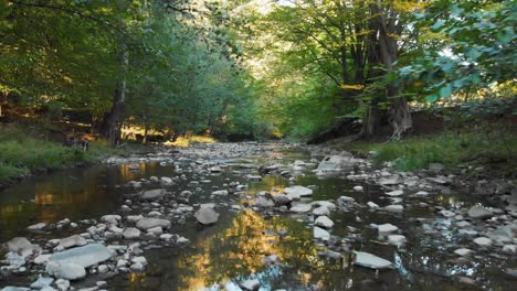 vuelo bajo de drones sobre un pequeño río