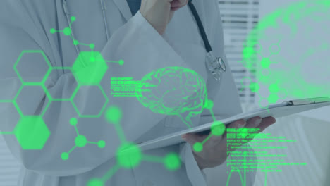 animation of data processing, digital human brain model and molecules over doctor taking notes