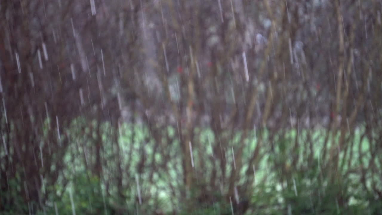 Snow falling in front of nature background