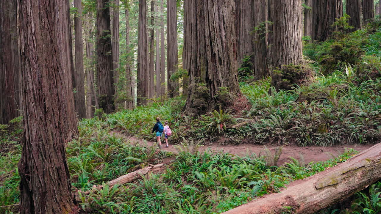 Mother and daughter spending time together walking in nature