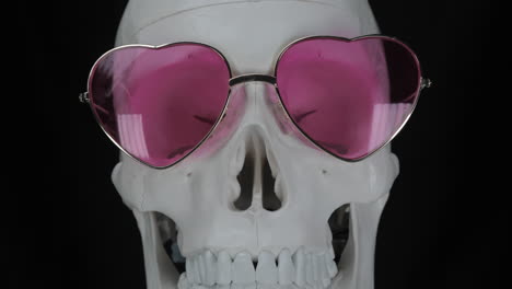 human skull with sunglasses