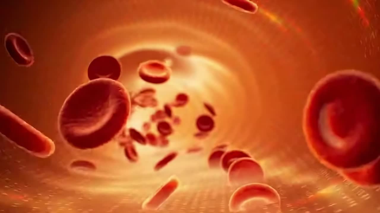 Dynamic video of red blood cells flowing through a vessel, captured from a close-up angle