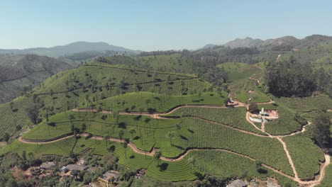 Plantación-De-Cultivo-De-Té-Y-Senderos-De-Tierra-Que-Cubren-Las-Pequeñas-Colinas-En-El-Hermoso-Paisaje-De-Munnar,-India---Tiro-Panorámico-Aéreo-De-Establecimiento