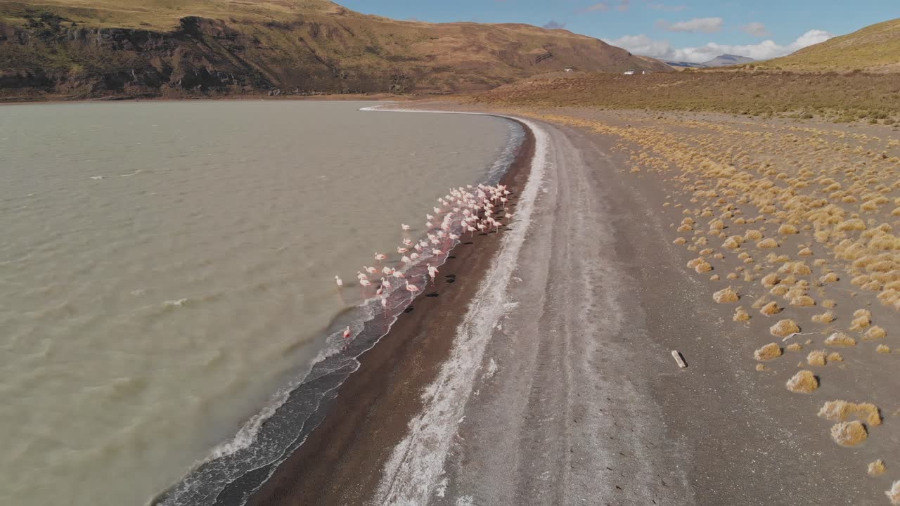 토레스 델 페인, 칠레 핑크 플라밍고와 야생 남미 풍경의 공중 사진