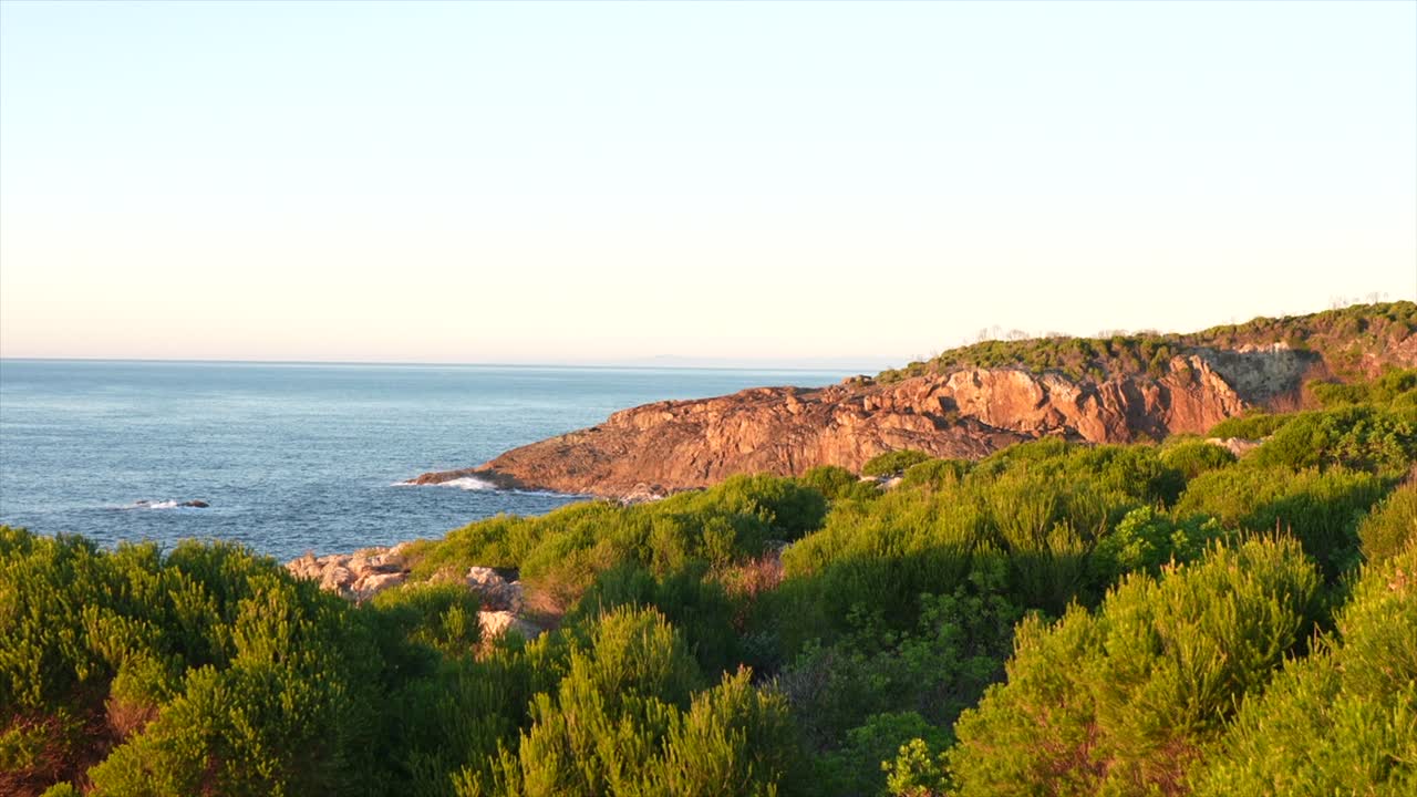 Coastal Cliffs and Vegetation