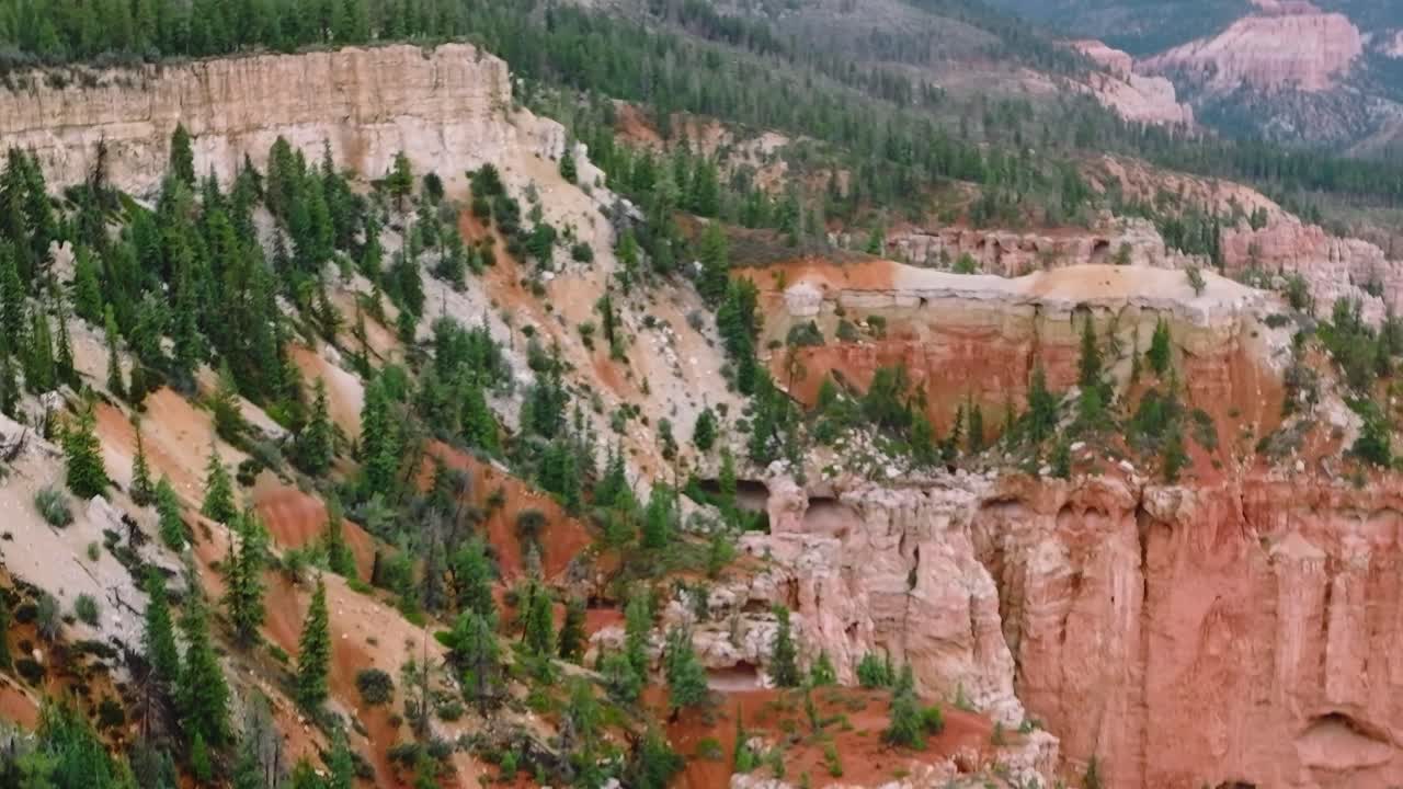 Landskapsvy över Mojaveöknen med klippor och träd i USA