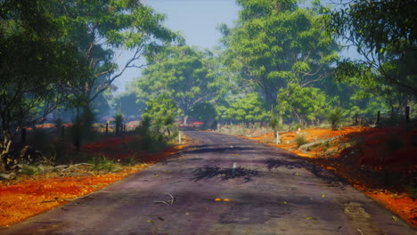 jungle road in baluran park in indonesia