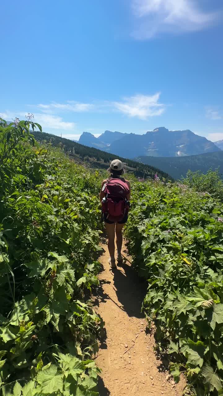 vertical 4k, siguiendo a una excursionista femenina caminando por un sendero en las montañas entre plantas verdes silvestres en un día soleado