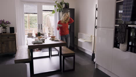 kitchen interior with a woman