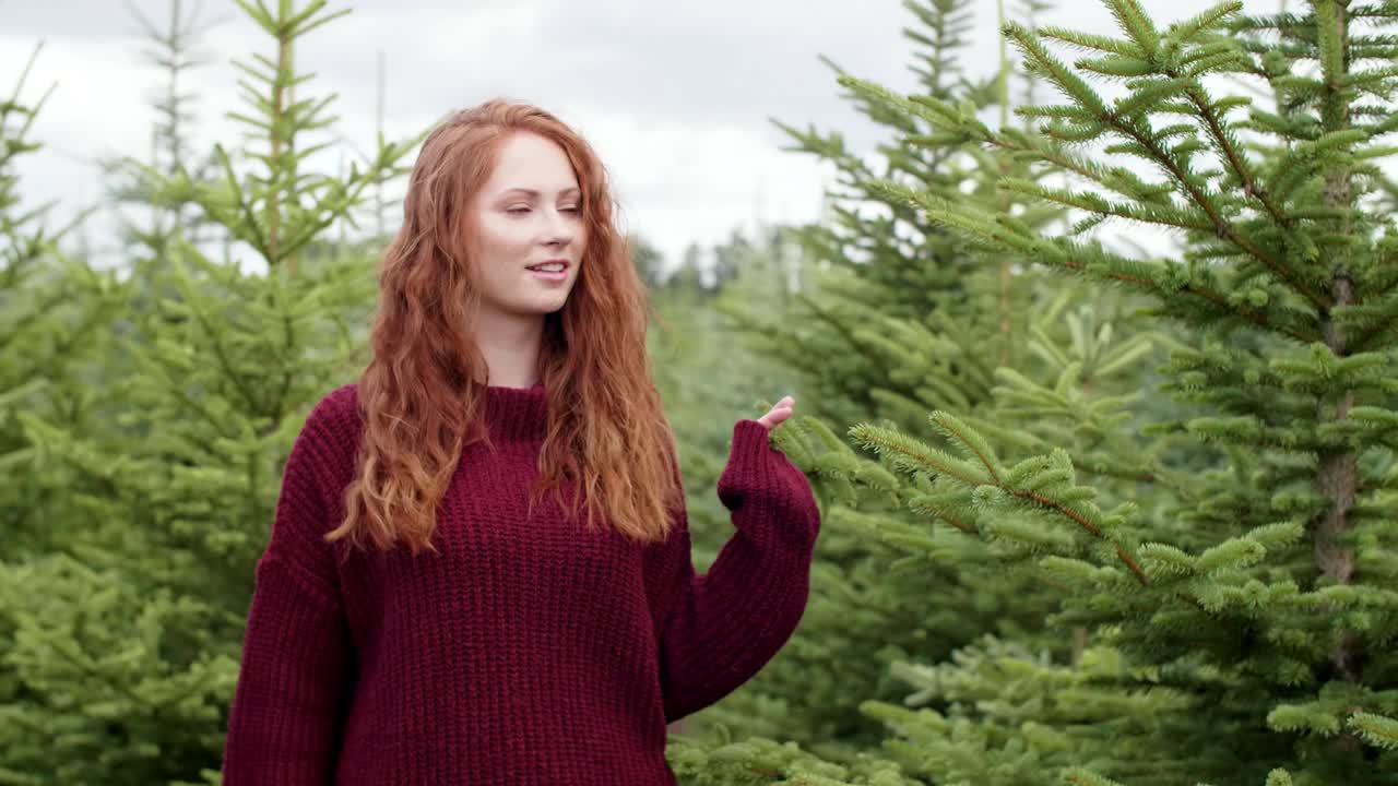숲길 을  ⁇ 고 있는 여자