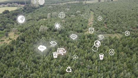 Drone-view--Africa-Forest--Kenya-and-Tanzania-Bush-fire-on-slopes-of-mount-Kilimanjaro-Loitokitok-Kenya