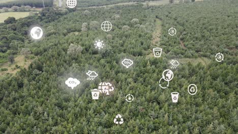 drone view- áfrica bosque- kenia y tanzania- incendio forestal en las laderas del monte kilimanjaro loitokitok kenia