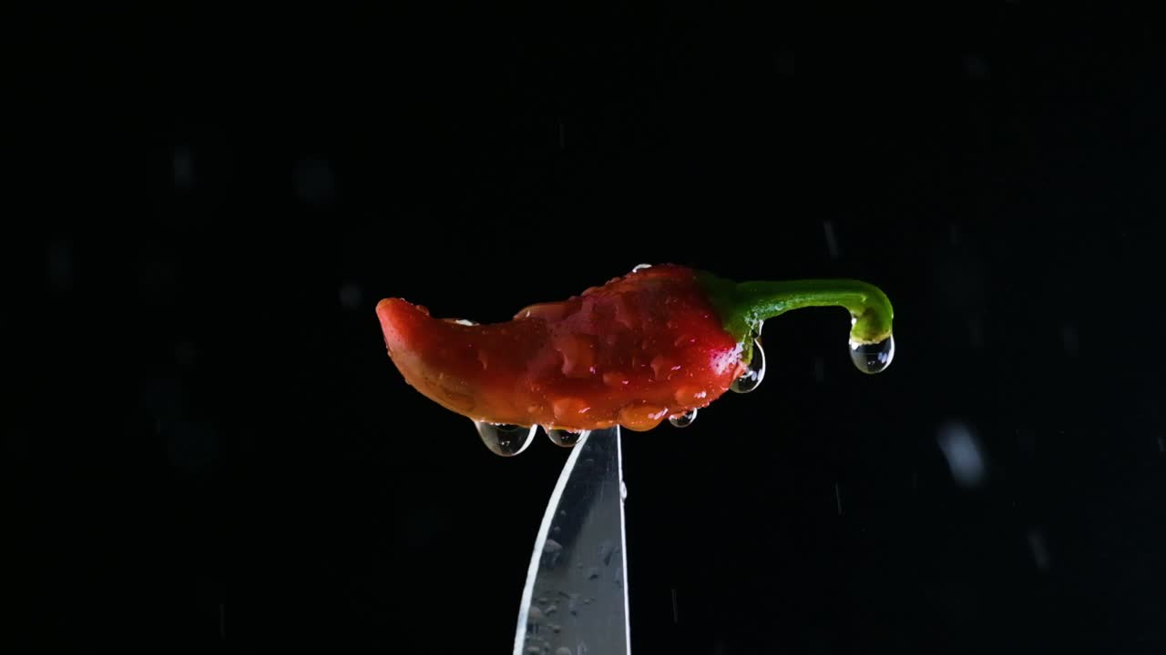 검은 바탕에 물이  ⁇ 아지는 칼 끝에  ⁇ 은  ⁇ 라페노 페퍼