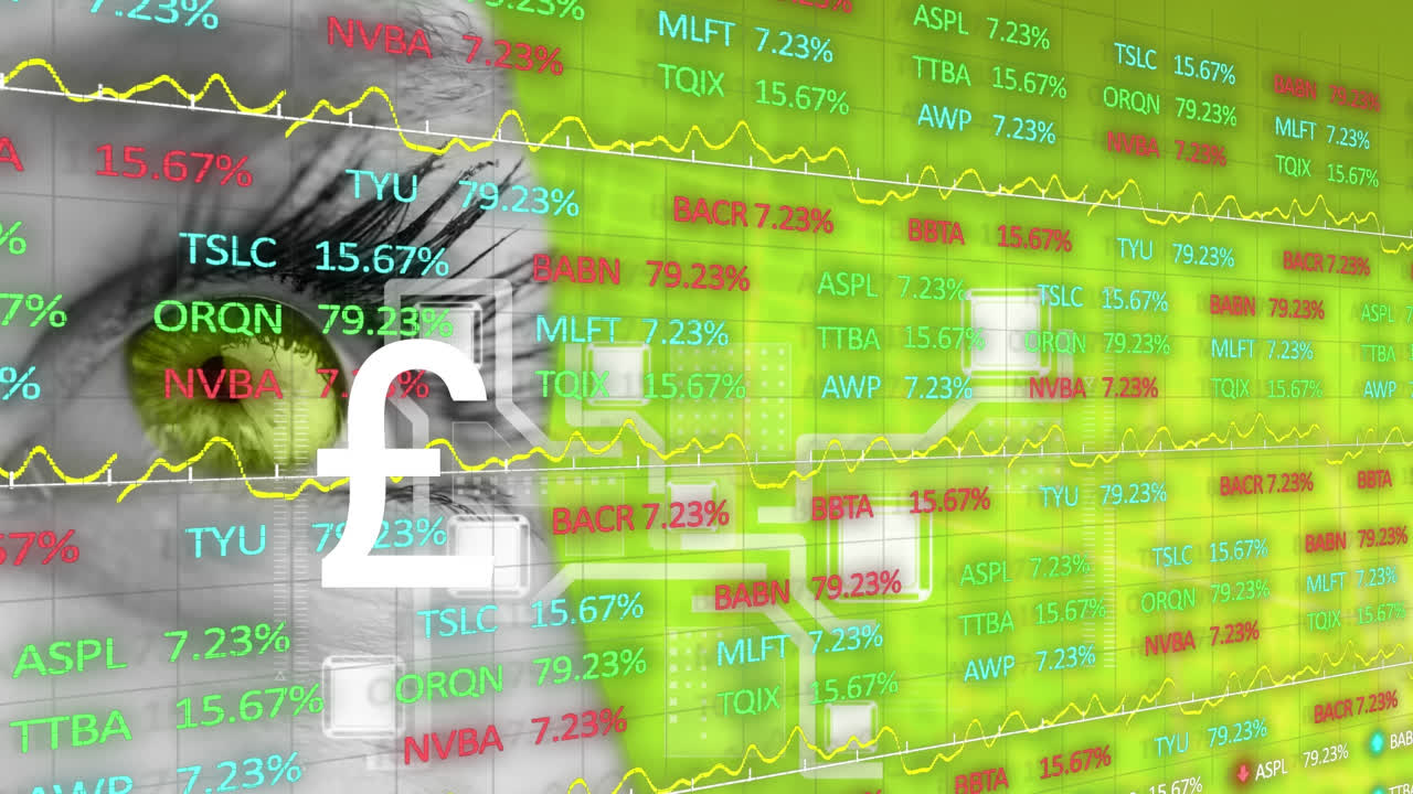 눈 위의 데이터 처리 애니메이션