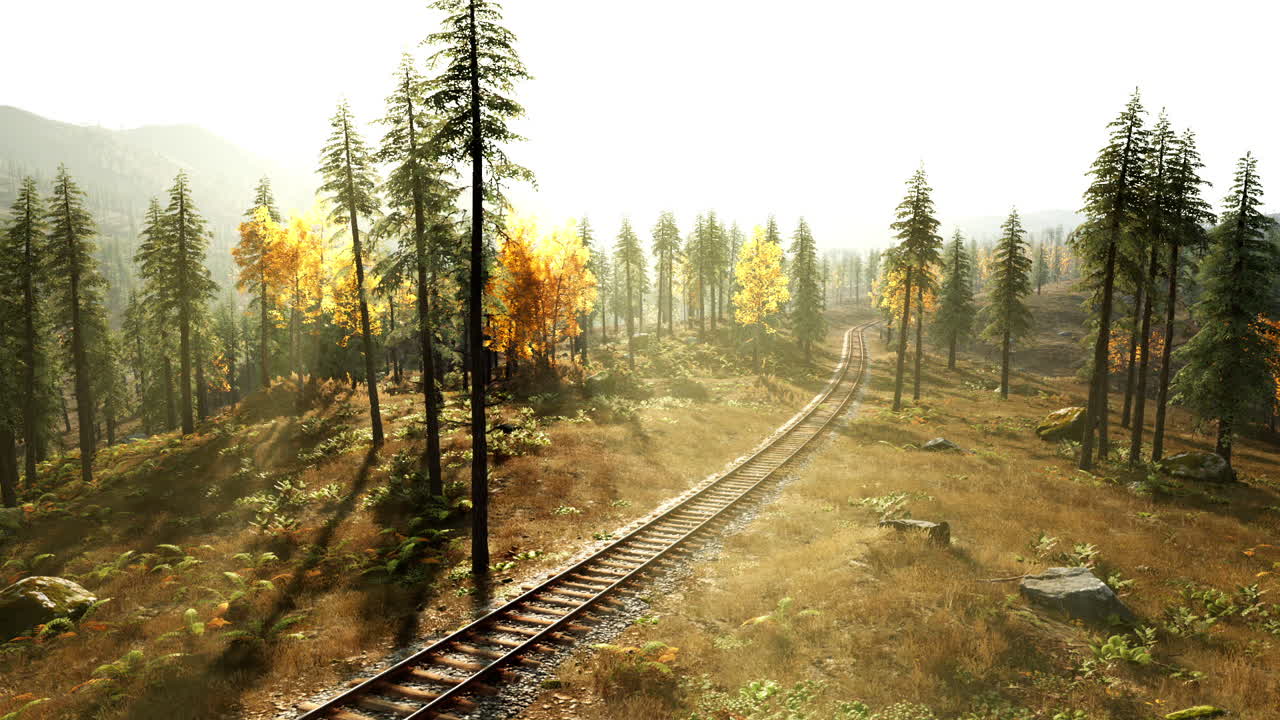 Tranquil railway winding through a sunlit forest during autumn