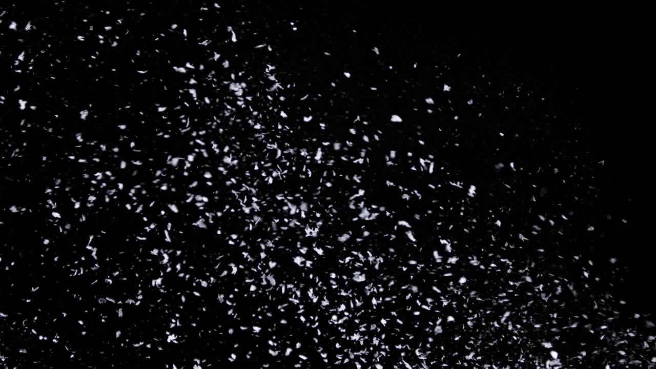 Falling Snow down On The Black Background