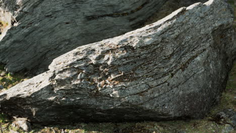 Cerca-De-La-Formación-De-Piedras-Rocosas