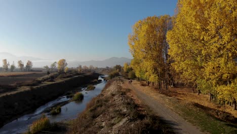 country road alongside river and yellow poplars at beautiful early morning sunshine