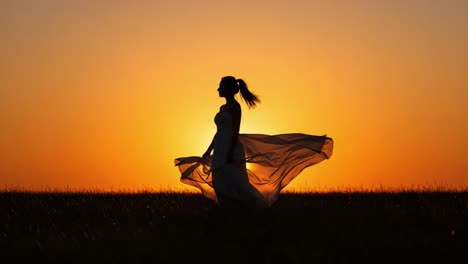 stunning silhouette of a woman in a flowing dress against a breathtaking sunset, capturing the essence of freedom and natural beauty in the golden hour